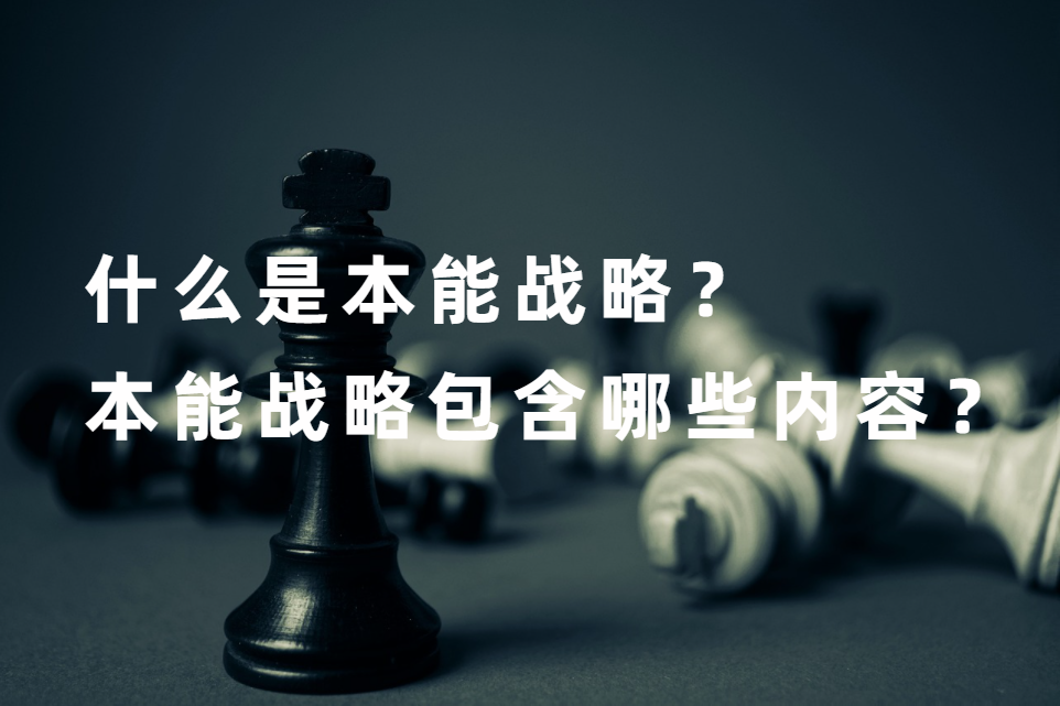 什麽是本能戰略？本能戰略包含哪些内容？