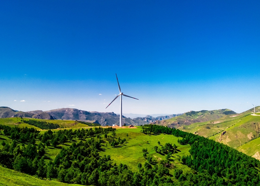 益海嘉裡(lǐ)，創出産業脫貧新模式