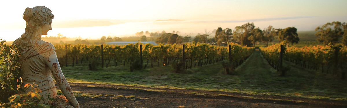 陽光(guāng)酒莊-要案-001